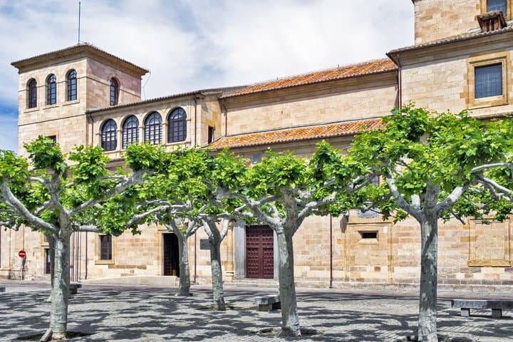 TOP Zamora : Private Guided Tour with your mobile