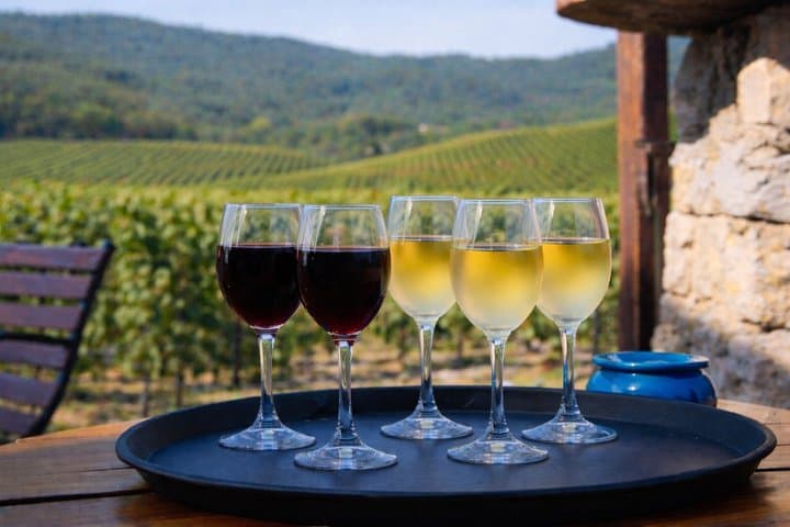 Montserrat,Vineyard, Wine Tasting Small Group Tour & Hotel Pickup