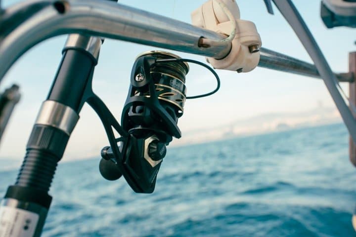 Fishing Adventures in Malaga Capital