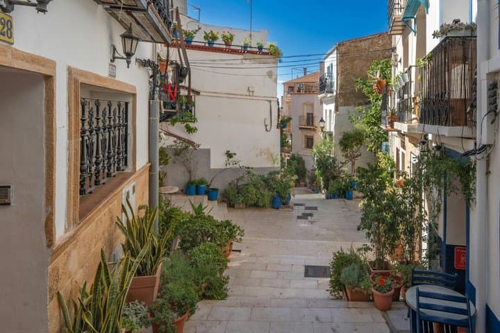 TOP Alicante : Private guided tour with your mobile