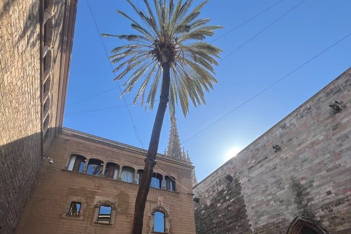 Timeless Barcelona: Roman Ruins, Gothic, Jewish and Born Quarter