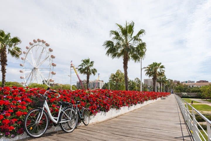 Guided Bike Tour of the City's Highlights | Aug 12 Eclipse Option