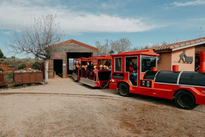 From Valencia Culla and Maestrat Mining Park with Bus and Guide