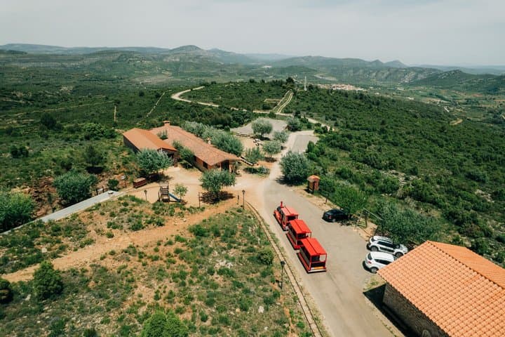 From Valencia Culla and Maestrat Mining Park with Bus and Guide