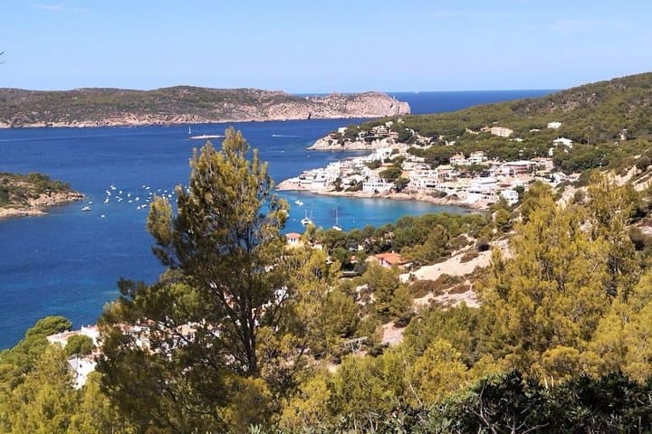 Guided Hike from Port d'Andratx to Sant Elm with Scenic Views