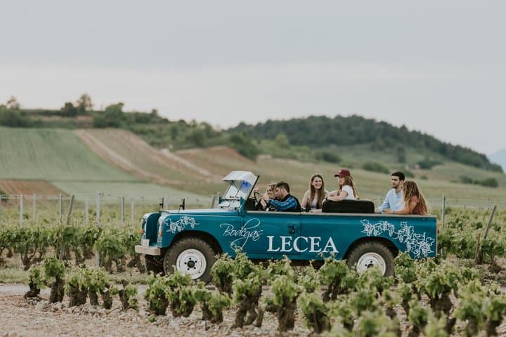 Vineyard Adventure: A thrilling ride through the "sea of vineyards" in our classic convertible 4x4.
