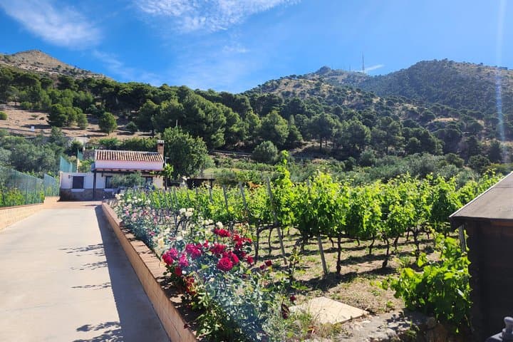 Malaga Organic Vineyard and Winery Six Wines Tapas and Transfer