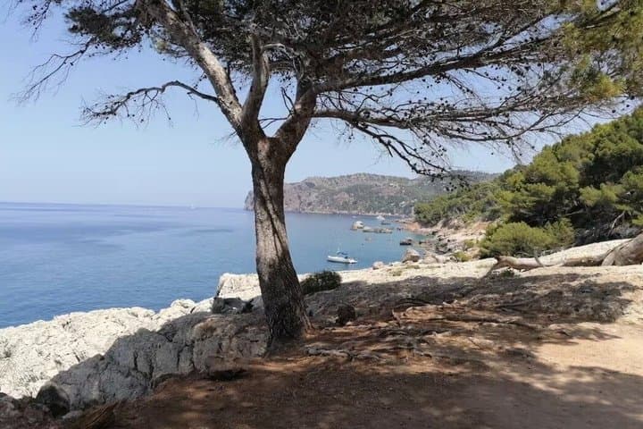 Paint outdoors in Deià by the sea