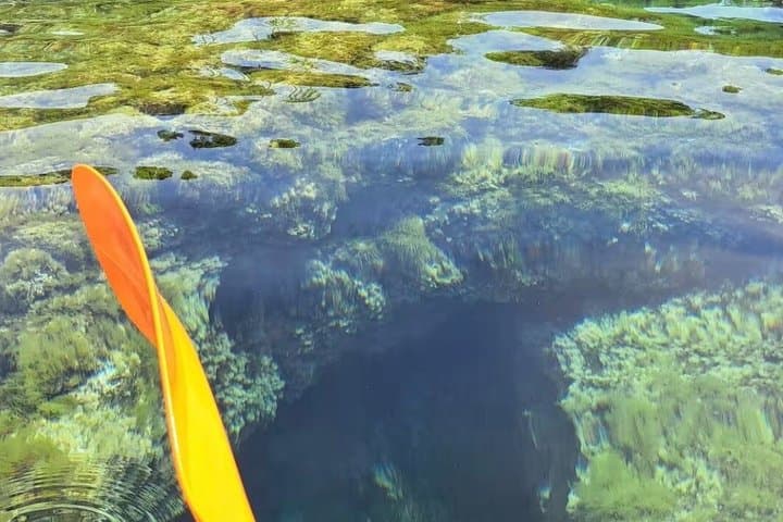 Kayaking, snorkeling and homemade pizzas.