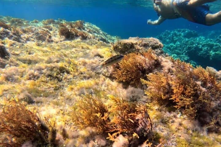 Kayaking, snorkeling and homemade pizzas.