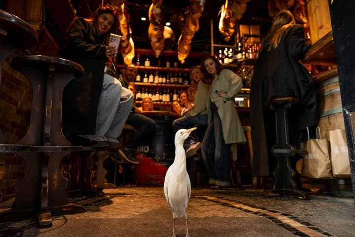 Barcelona Side Streets Tapas Food & Wine Tour with Eating Europe