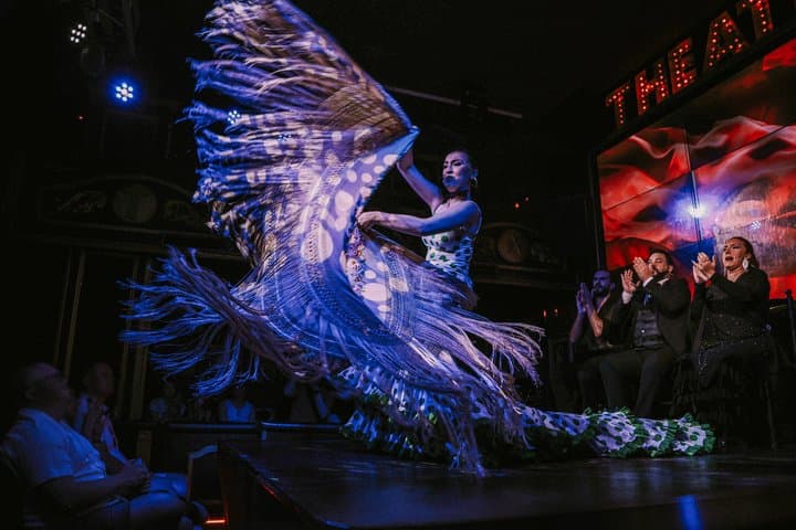 The Premium Experience at Teatro Flamenco Málaga