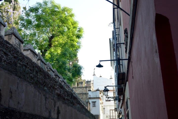Walls Alcázar Santa Cruz