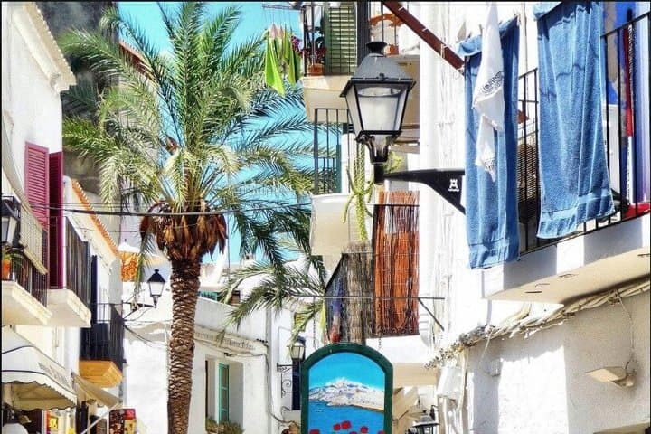 Deluxe Cruise Friendly Ibiza Tour including Leisure Time