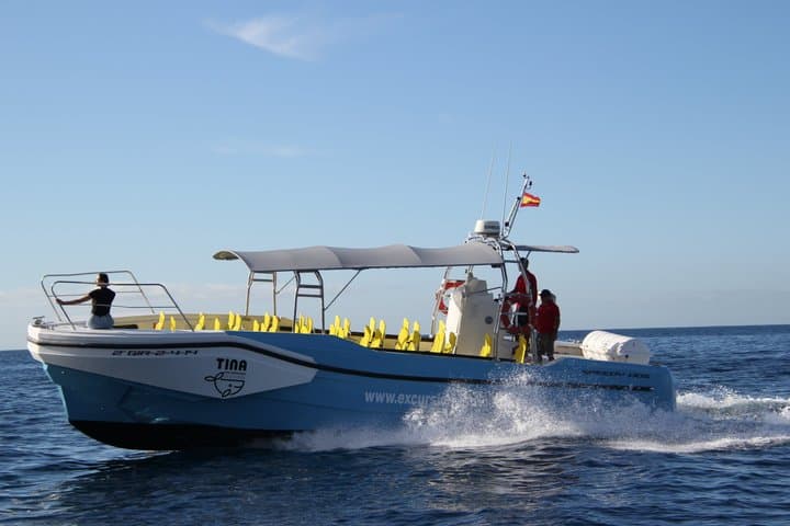3 hrs Boat Excursion for whale watching from Valle GR (La Gomera)