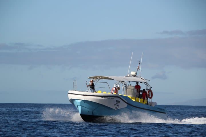 Avistamiento de ballenas desde Playa Santiago La Gomera