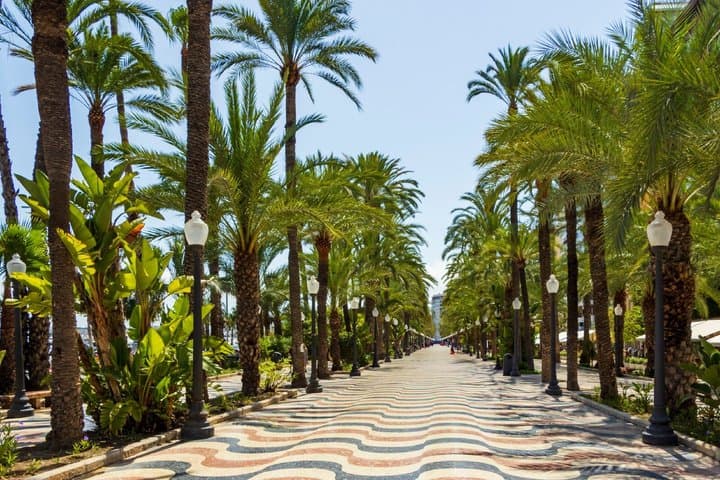 Explanada de España: The iconic sea promenade with its millions of wavy mosaics and palm trees.
