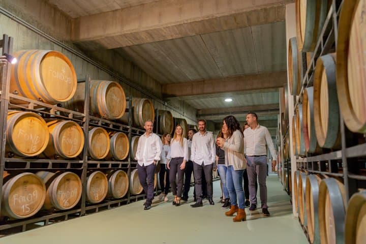 Alicante : Visit to Premium Winery with 7 Tastings, Expert Guide