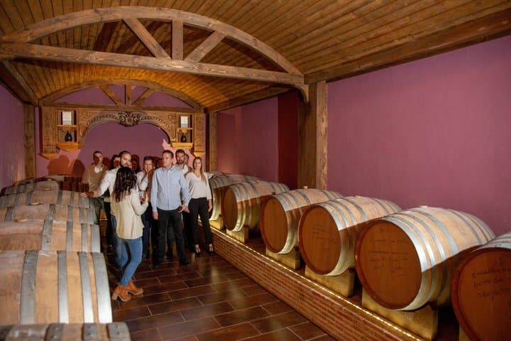 Alicante : Visit to Premium Winery with 7 Tastings, Expert Guide