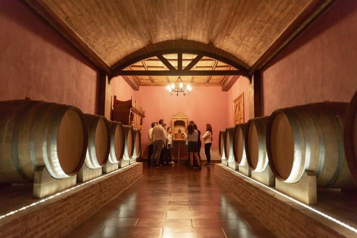 Alicante : Visit to Premium Winery with 7 Tastings, Expert Guide