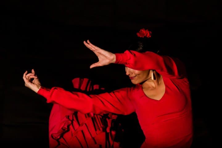 Flamenco Show with Ham and Wine in Madrid for 2 People
