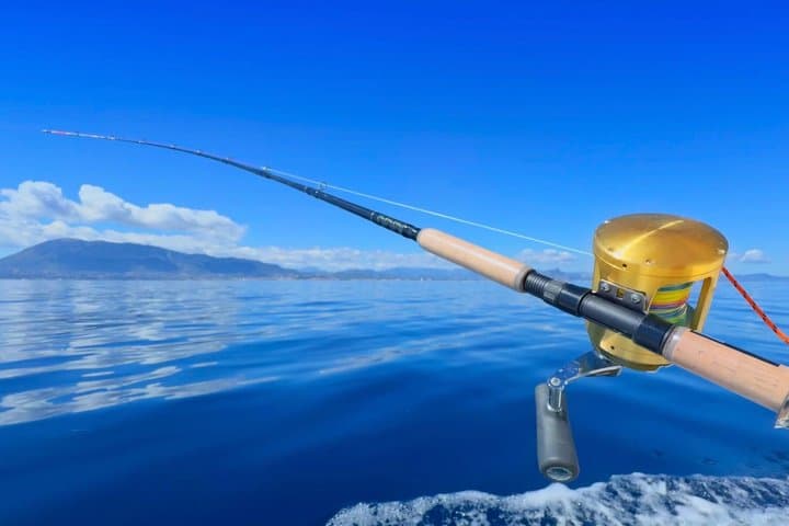 Charter Fishing and Boating in Dénia