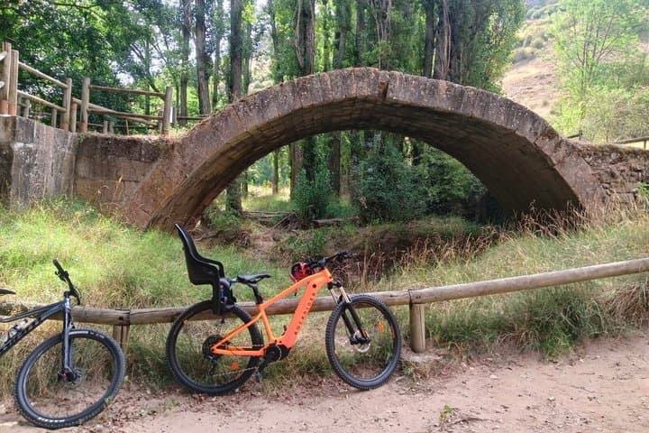Stop next to the stone bridge on the Path of the Two Rivers, inside the Natural Park of the Duraton River Hoces.