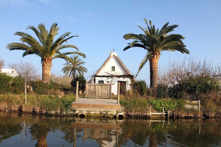 From Alicante: Day trip to Valencia and boat trip in the Albufera
