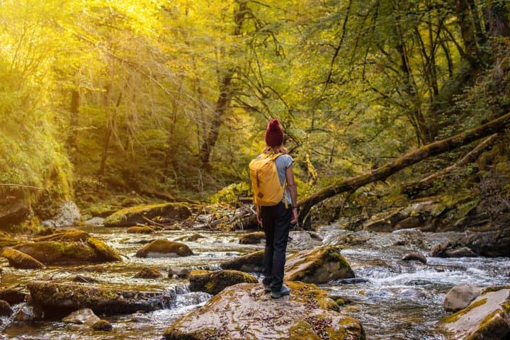 Day Trip to Irati Forest and Ochagavia from Pamplona