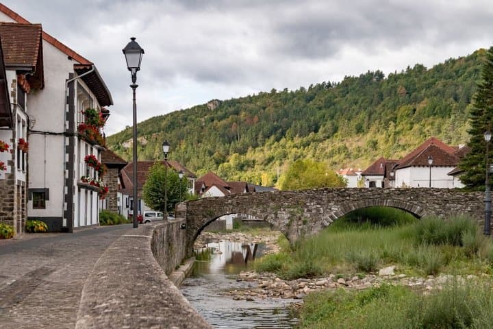 Day Trip to Irati Forest and Ochagavia from Pamplona