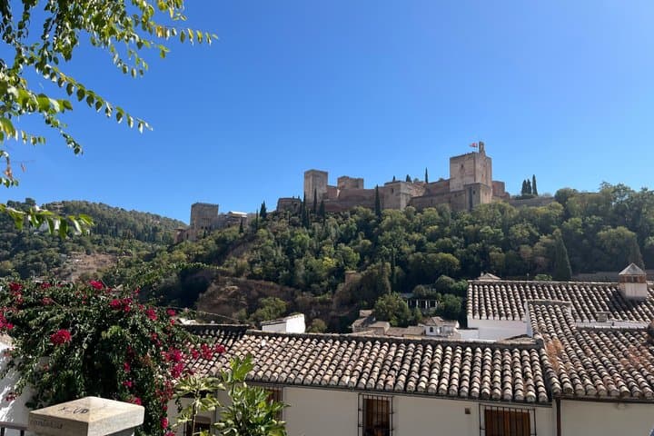 Granada Guided Tour Albaicín and Flamenco Show