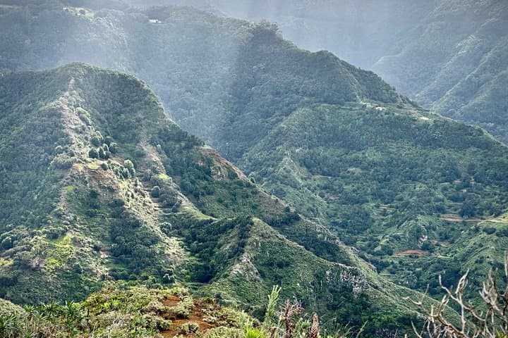 Anaga Hidden Gems Private Relaxed Tour