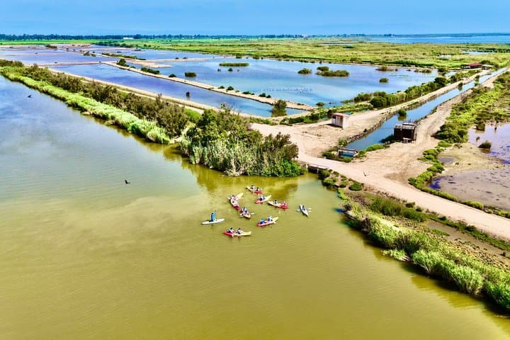 Guided Kayaking Tour of the Ebro Delta Natural Park