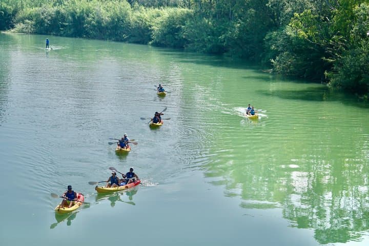 Guided Kayaking Tour of the Ebro Delta Natural Park