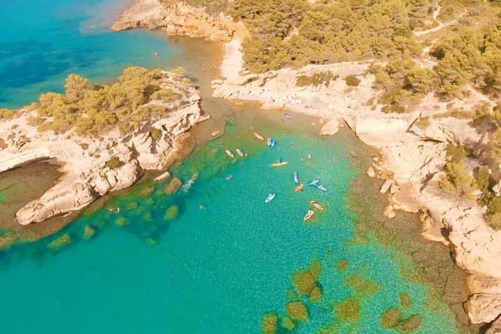 Guided Kayaking Tour of the Ebro Delta Natural Park
