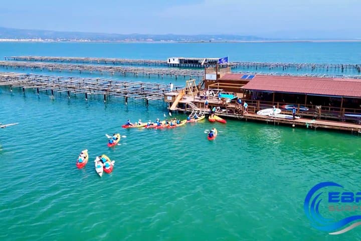 Guided Kayaking Tour of the Ebro Delta Natural Park