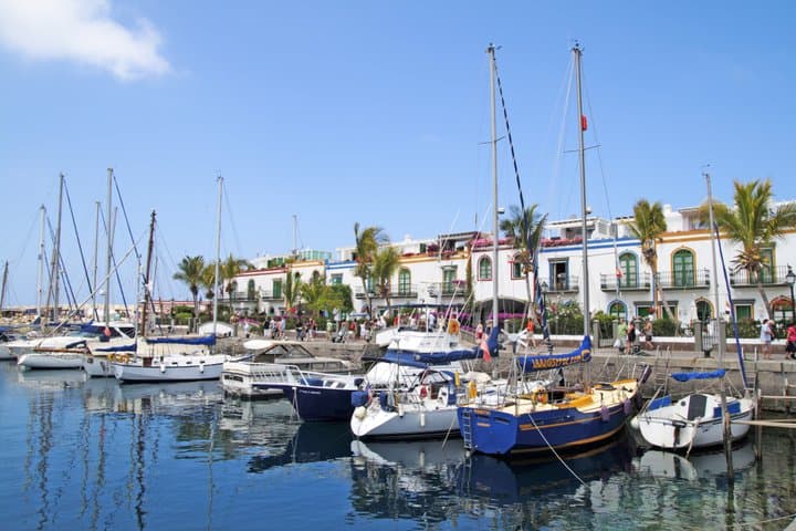 Half Day Puerto de Mogán Friday Market and Shopping Experience