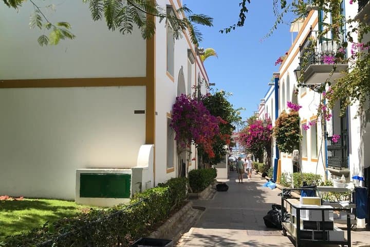Half Day Puerto de Mogán Friday Market and Shopping Experience