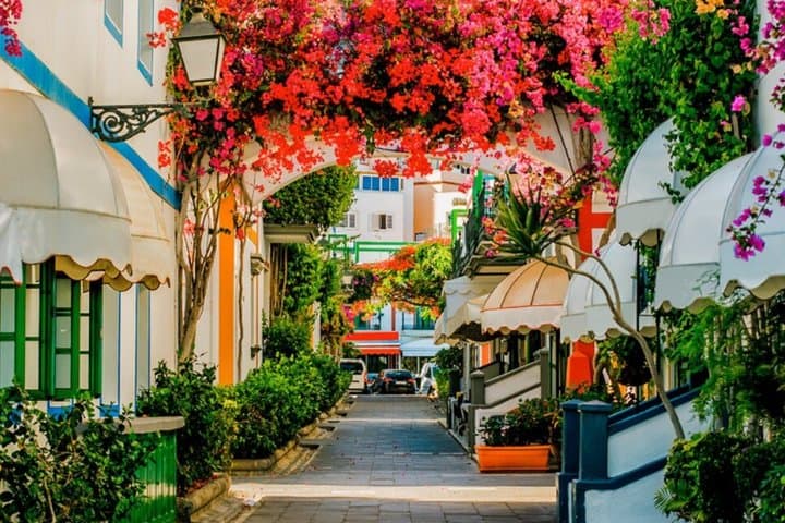 Half Day Puerto de Mogán Friday Market and Shopping Experience