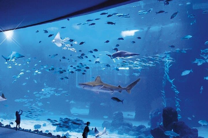 Las Palmas Shopping and Poema del Mar Aquarium