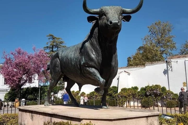 Visita privada IMPRESDICIBLE de Ronda