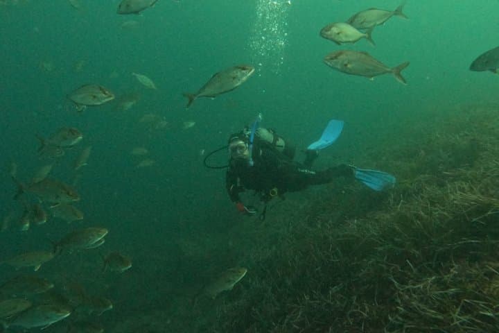 Mallorca: Scuba Diver Course in 1 Day