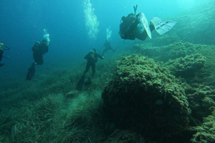 Mallorca: Scuba Diver Course in 1 Day