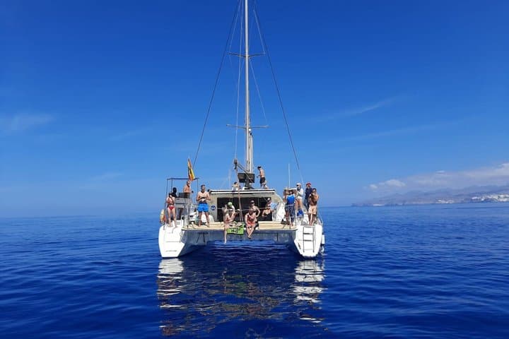 Private catamaran tour with drinks and lunch and snorkeling