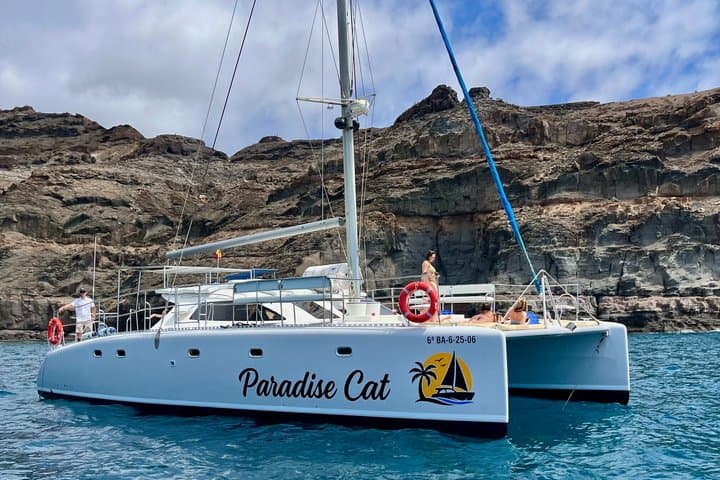 Private catamaran tour with drinks and lunch and snorkeling