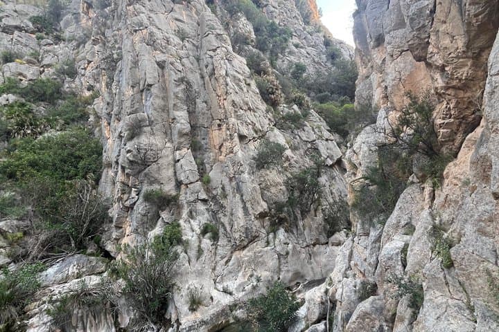 Private Tourism Algar Falls by Car (Small Groups)