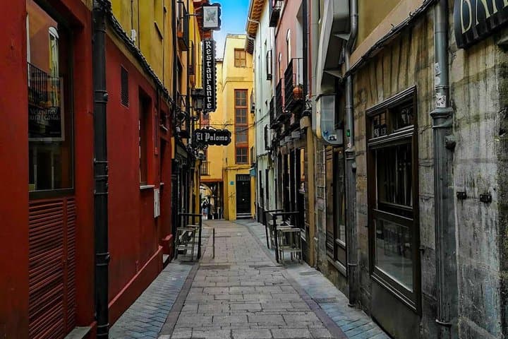 Guided Cultural Tour of the Historic Center of León