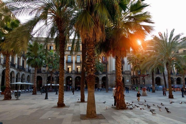 Barcelona Gothic Quarter and Las Ramblas Walking Tour