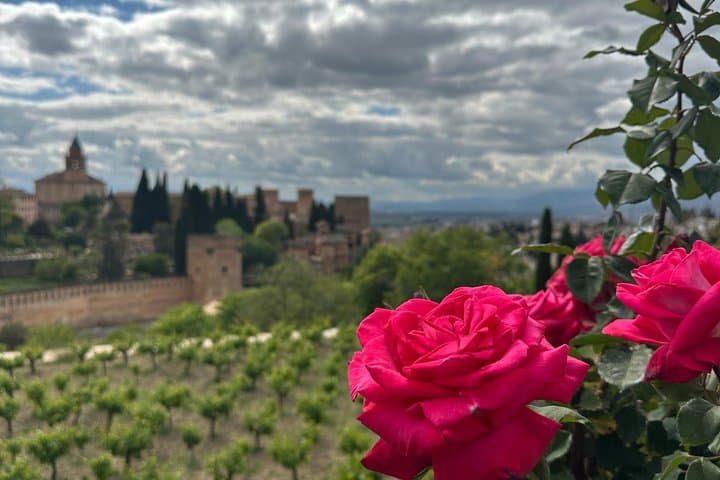 Small group guided tour of the Alhambra max 10 people
