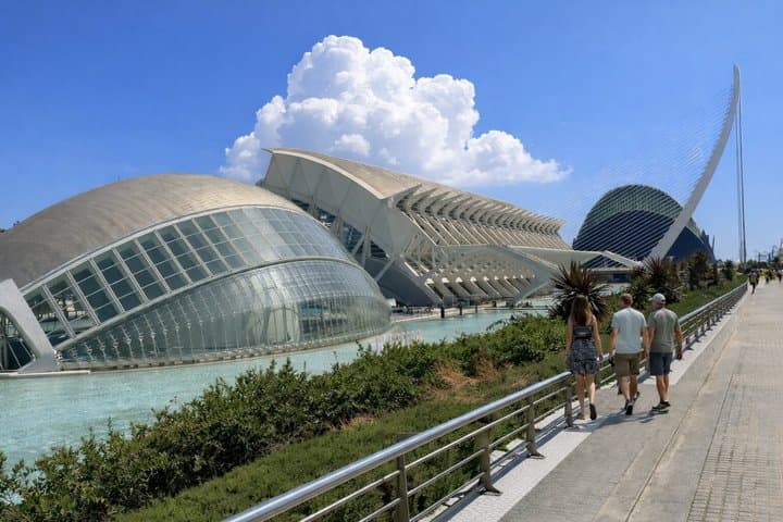 Private Custom Walking Tour in Valencia with Local